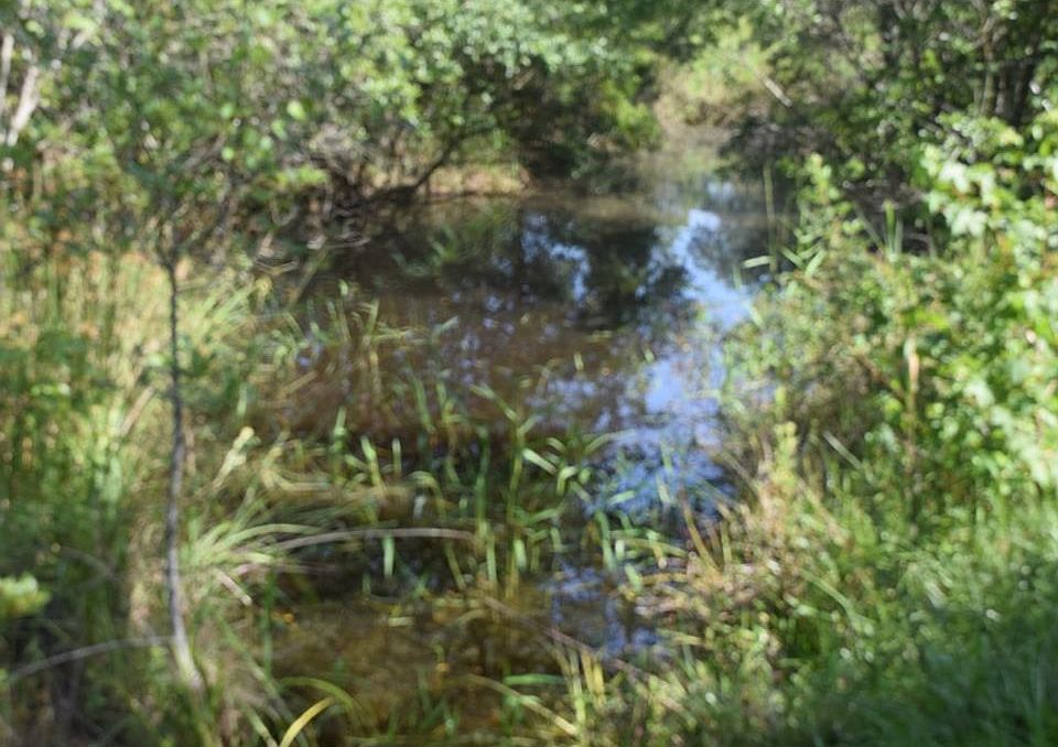 2nd image of 481242 Haddock Rd