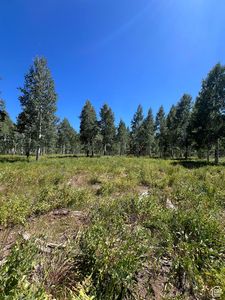 4581 Carol Ave, Cedar City, UT, 84720