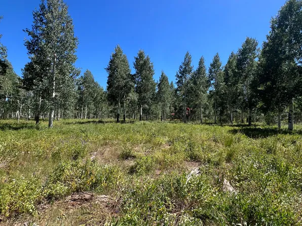 4581 Carol Ave, Cedar City, UT 84720