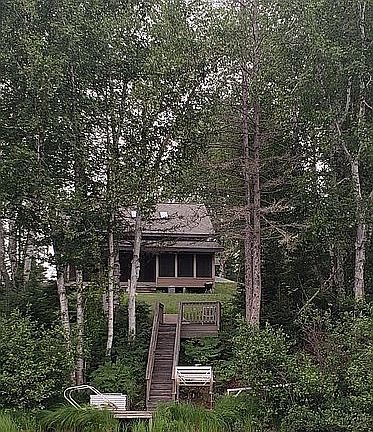 View from lake