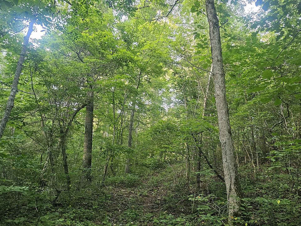 2nd image of 0 Tomahawk Slab Rd