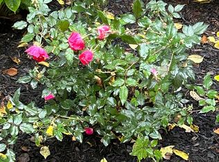 411 San Carlos Rd, Minooka, IL 60447