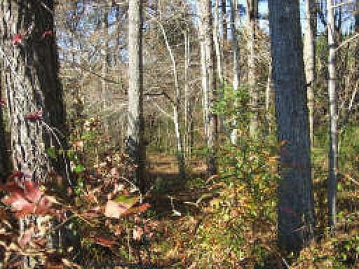 3rd image of 10971 Cumming Hwy