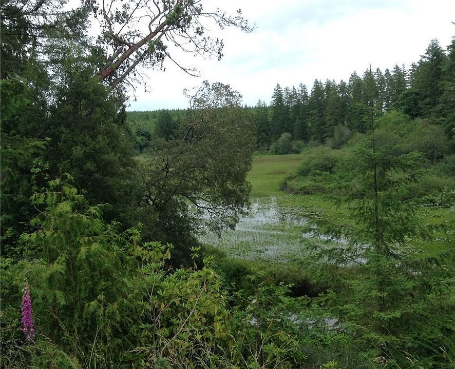 2nd image of 3796 Thorndyke Rd