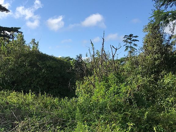 5th image of Aulii St Lot 40