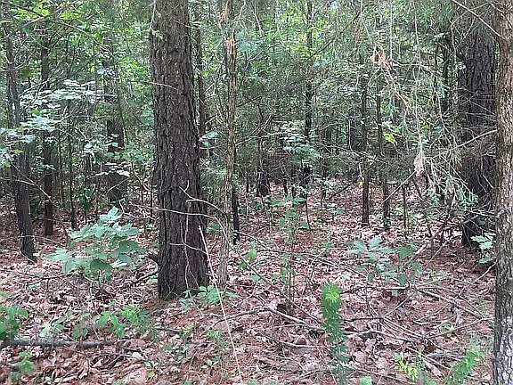 3rd image of 0 County Road 5550