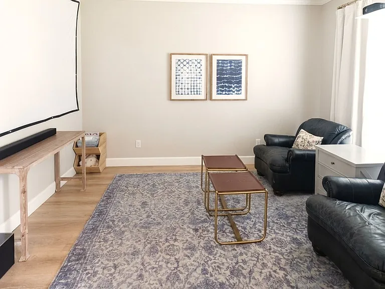 Media/bonus room _ movie nights and game days