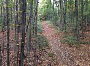 8369 Lower East Hill Rd, Colden, NY 14033