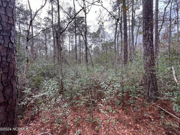 1079 N Windward Drive SW, Supply, NC 28462