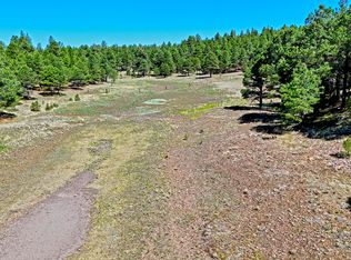 1539 Homestead Rd, Flagstaff, AZ 86005