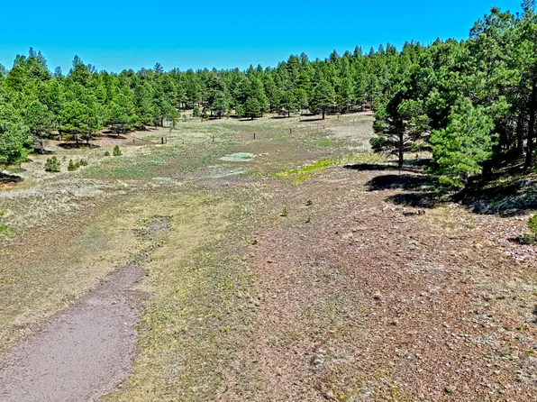 1539 Homestead Rd, Flagstaff, AZ 86005