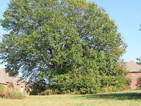 48 Shadow Creek Cir, Austin, AR 72007