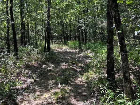 TRACT N4550 Rd #A, Whitesboro, OK 74577