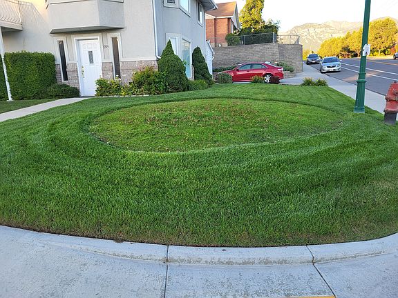 newly planted grass in former island area