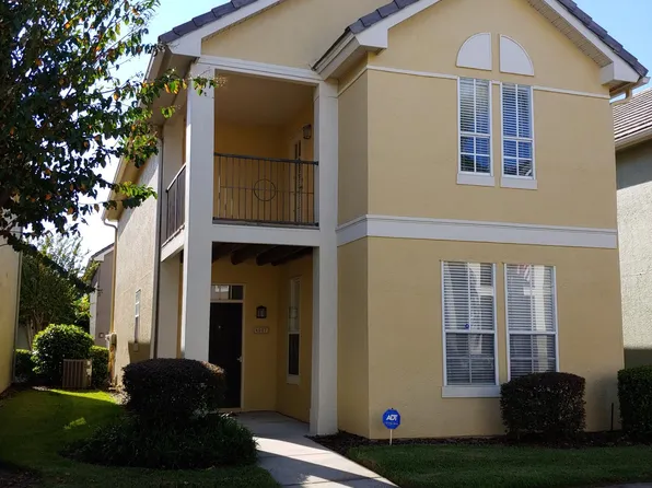 4007 Bangalow Palm Ct, Tampa, FL 33624