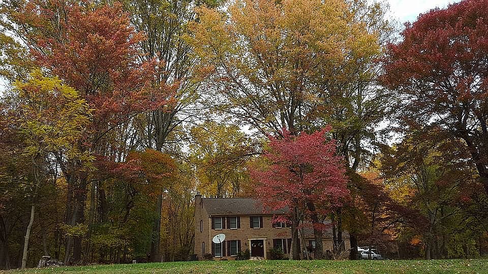 Beautiful in fall !  