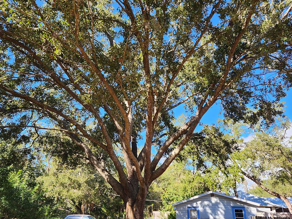 1st image of 4914 Dorothy Ave