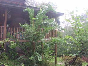 4th image of Hc72 B233c Cres #6831