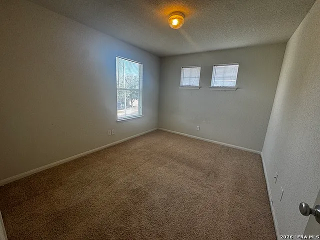 8834 Snow Goose — Photo 15