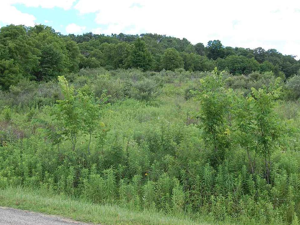 2nd image of L15 Fawn Meadow Ln