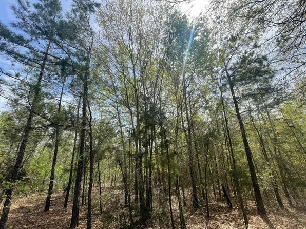 County Road 4320, Larue, TX 75770