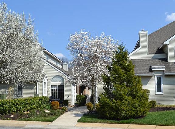 Beautiful Landscaped Entry