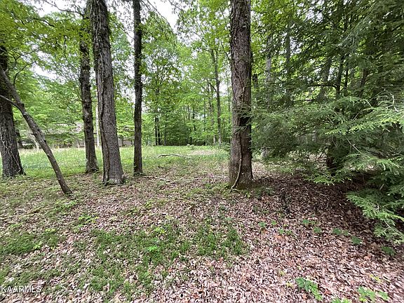 4th image of 18 Hunterwood Ct