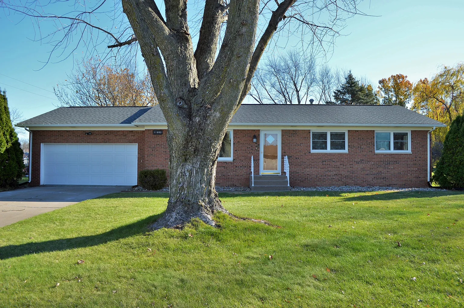 11603 3rd St photo 1