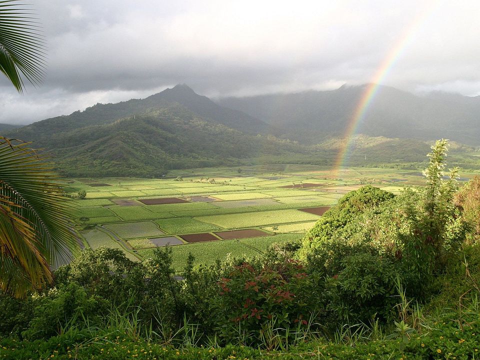Area View - Princeville