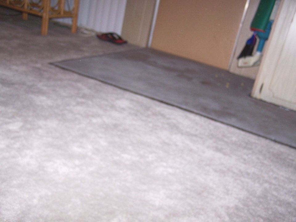 new carpet and concrete prior to sealing