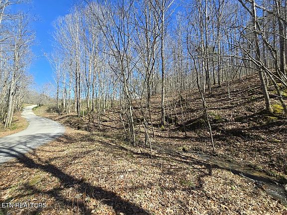 2nd image of 0 Straight Fork Rd