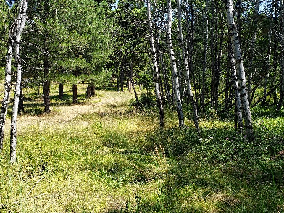 2nd image of Grizzly Gulch Dr