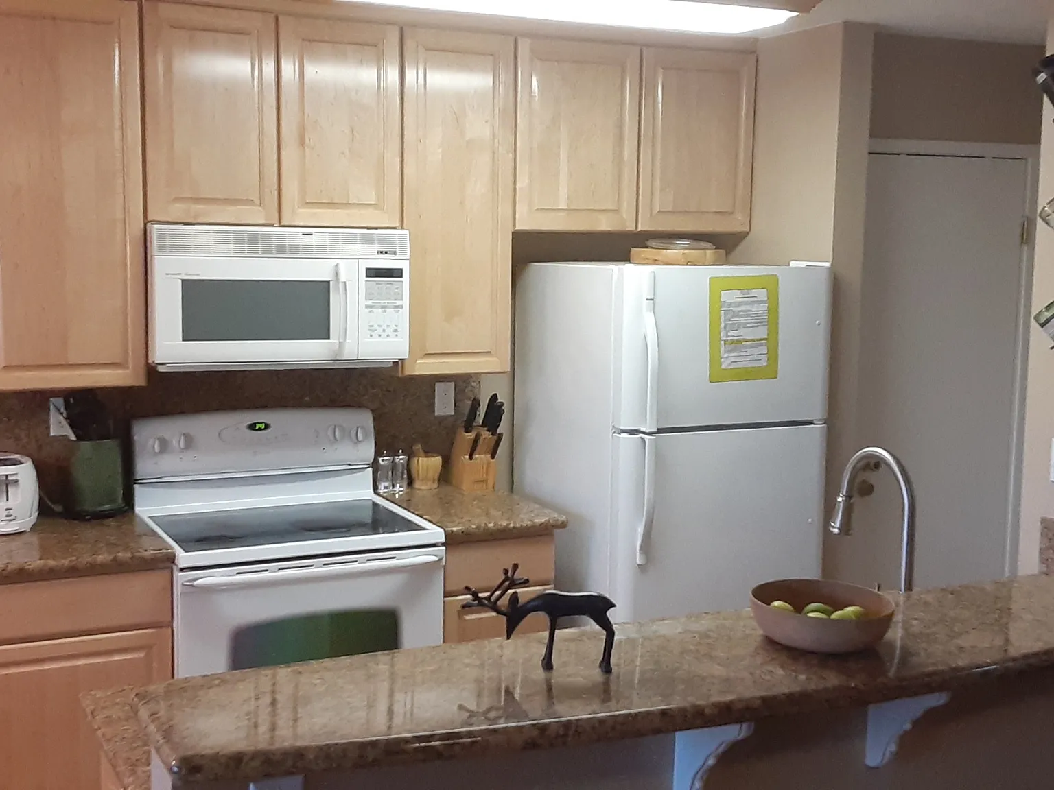 1439 Ski Run Blvd — Photo 4