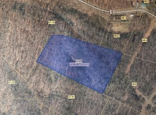 Raders Valley Rd, Williamsburg, WV 24991