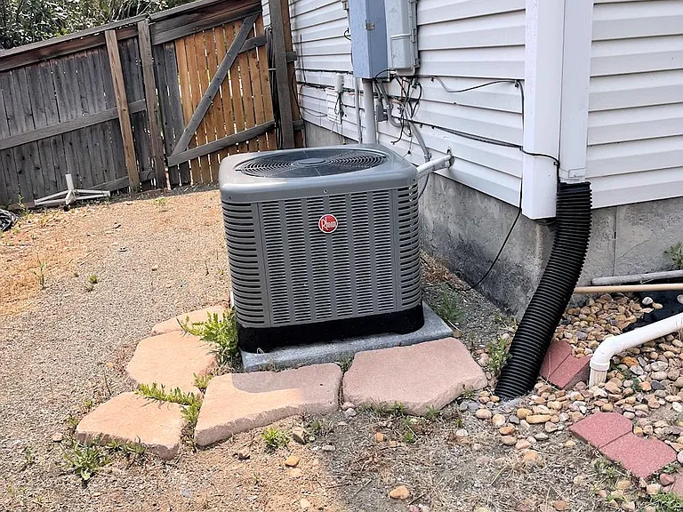 983 Canary Ct — Photo 12