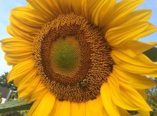 20 Sheridan Street #2 FL 1ST, Portland, ME 04101