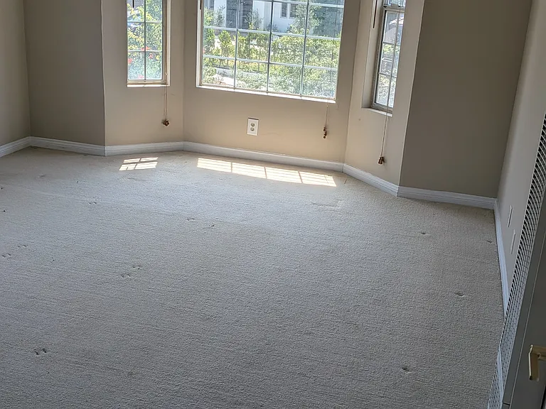 823 Maple St #2 — Photo 45