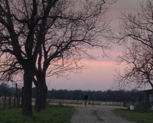 Looking out the drive