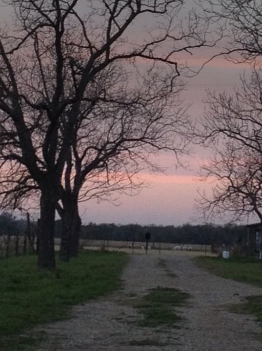 Looking out the drive