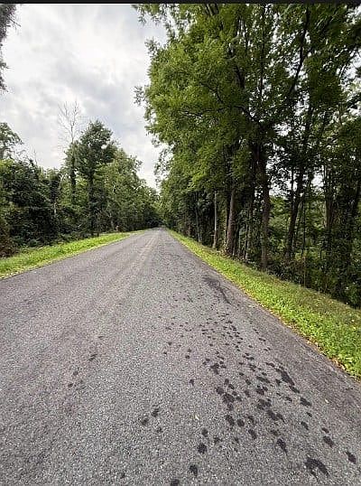 2nd image of 7044 Laraway Rd Lot 4