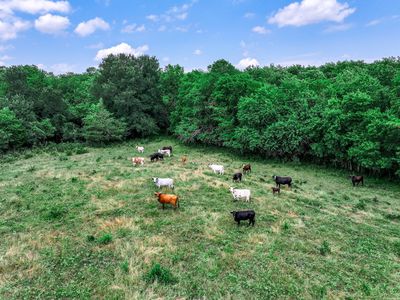 County Road 2190, Commerce, TX, 75428
