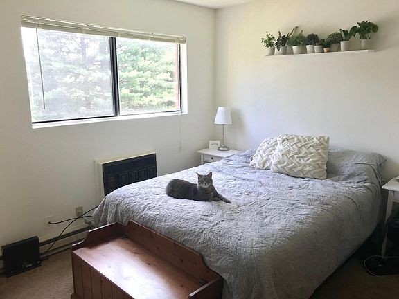 Spacious bedroom with large window for great natural light. 