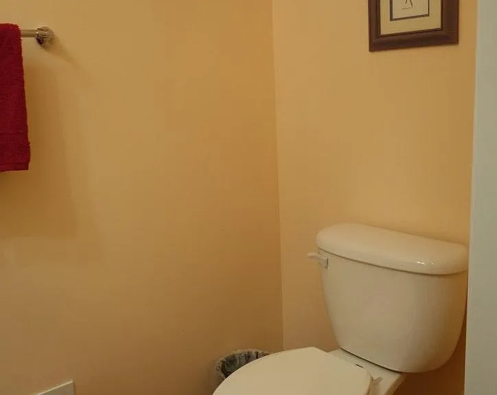 Hall Bath (downstairs)