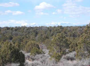 19 County Road 42, Norwood, CO 81423