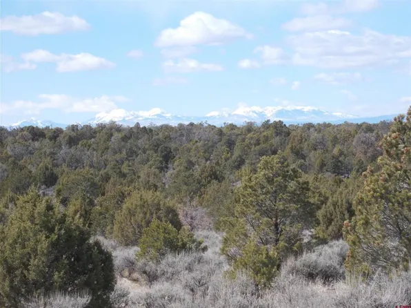 Lot 19 County Road 42 ZN, Norwood, CO 81423