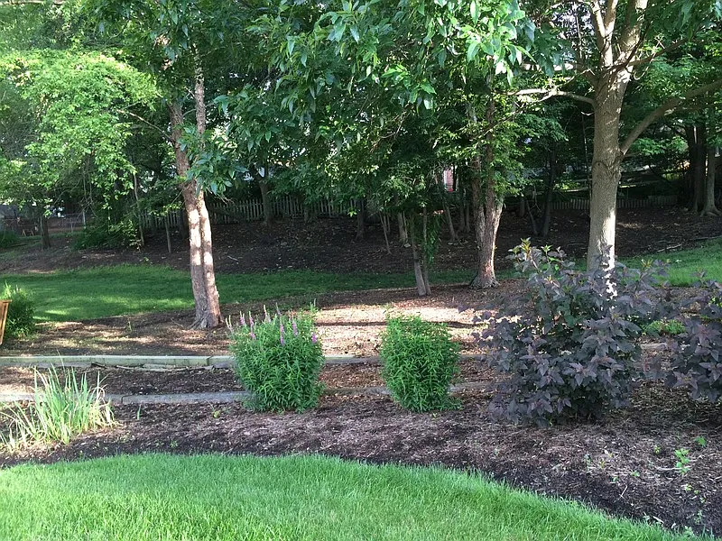 Nature Trails
