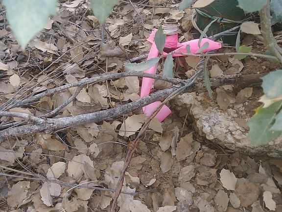 2nd image of 3735 W Road Runner Dr