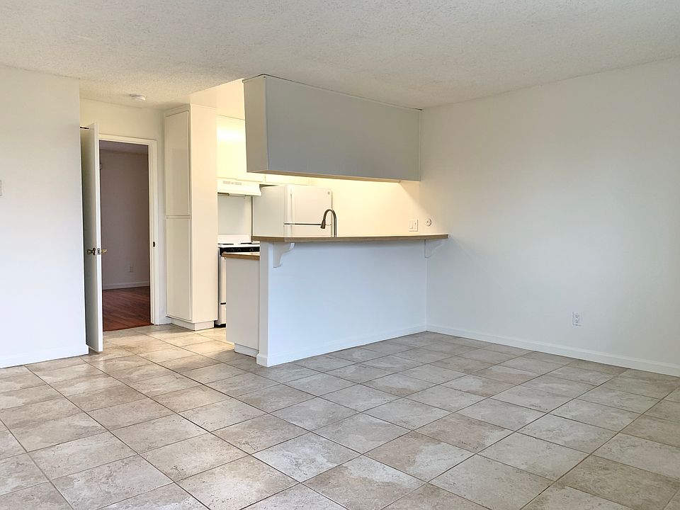 Living Room / Dining Area / Kitchen