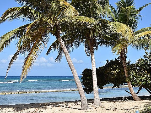 Beach in front of lot
