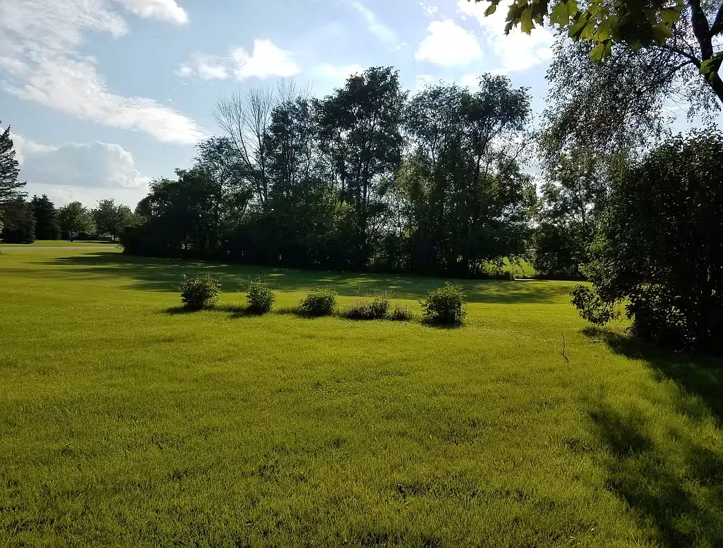 4 bed, 2032 sqft, $2,600 — Photo 3